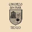 01 Consorzio BIM Piave Treviso